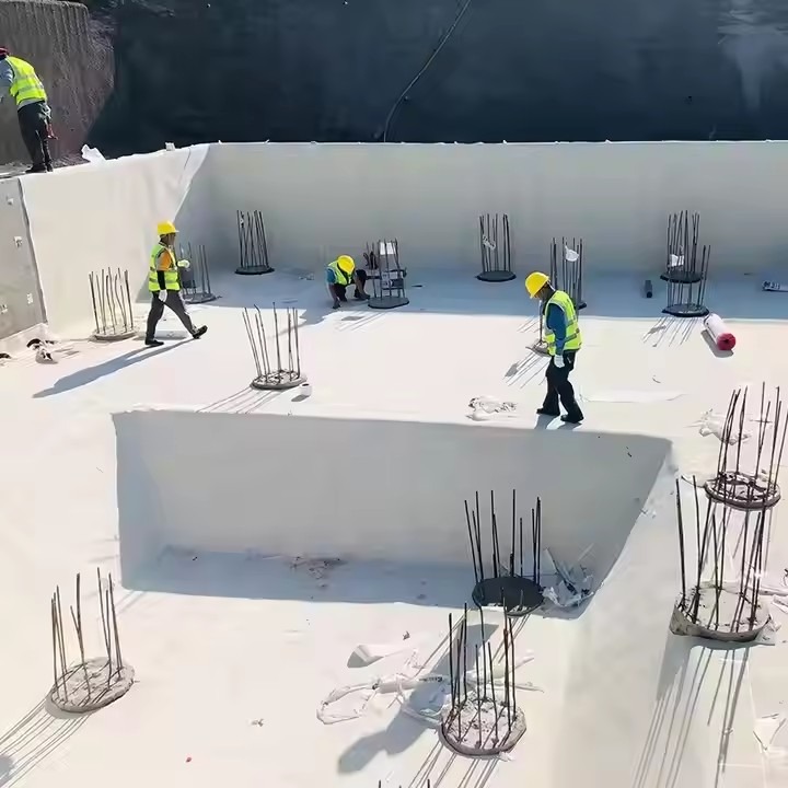https://www.asphaltroofshingle.com/hdpe-impermeable-membrane.html