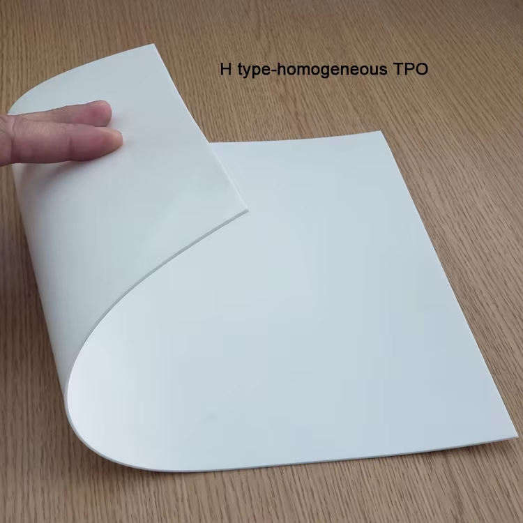 6 tpo