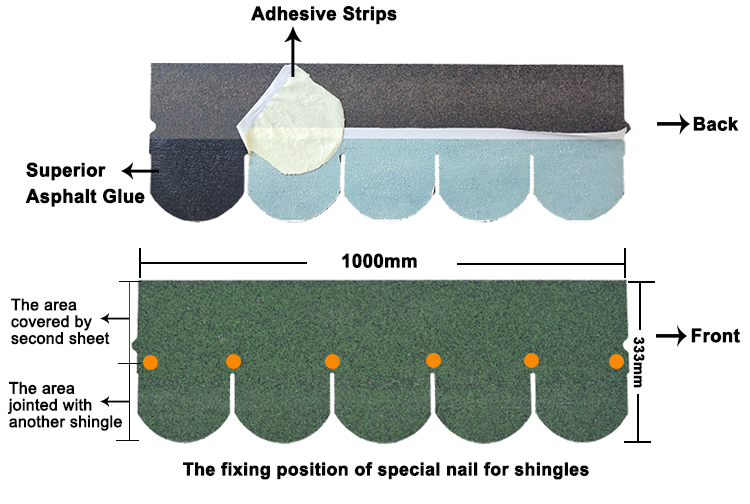 Hove Scale Asphalt Shingles