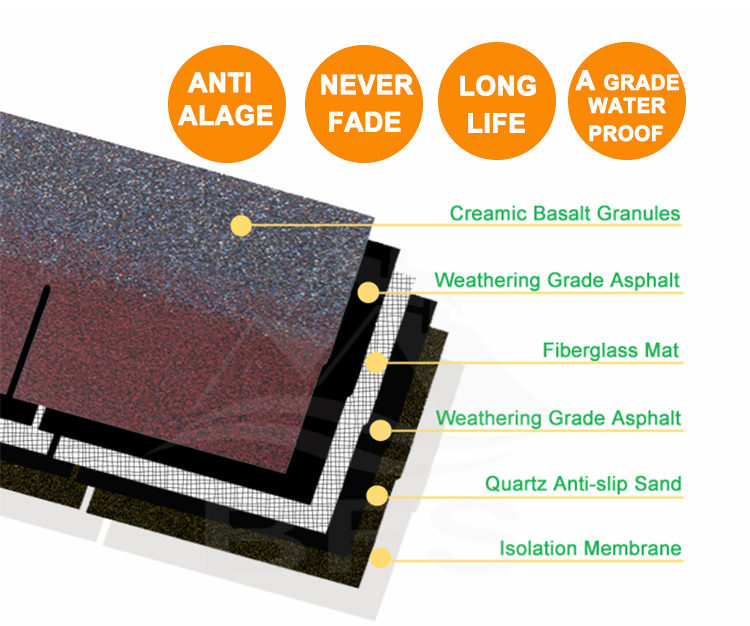 3 ټوپ قیر بام Shingle